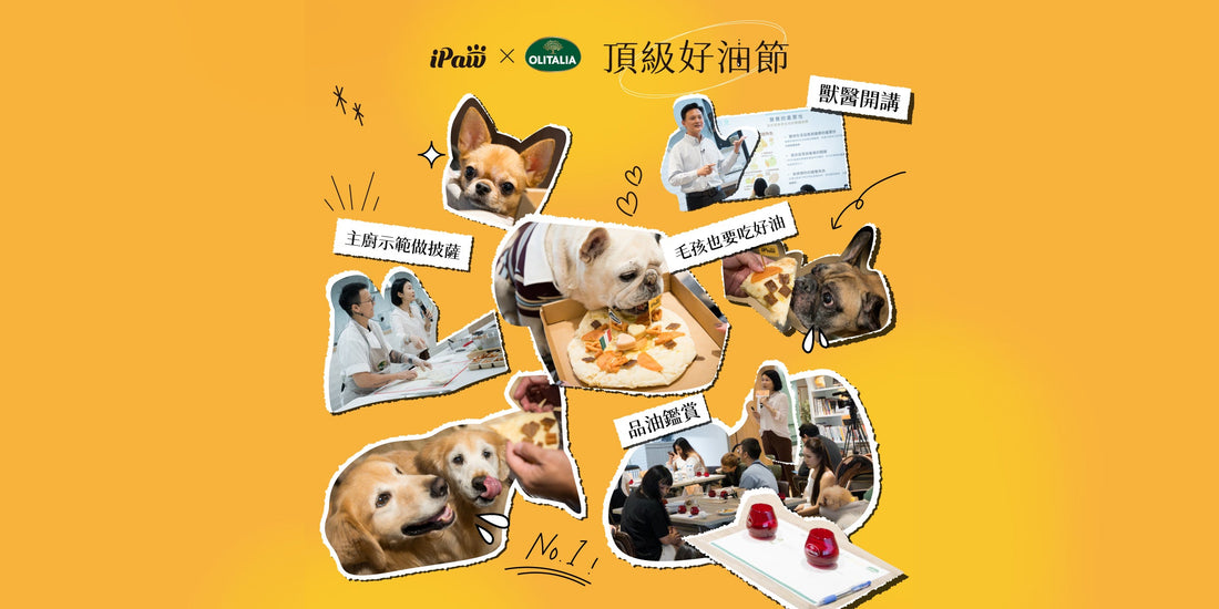 【活動】iPaw頂級好油節｜圓滿落幕