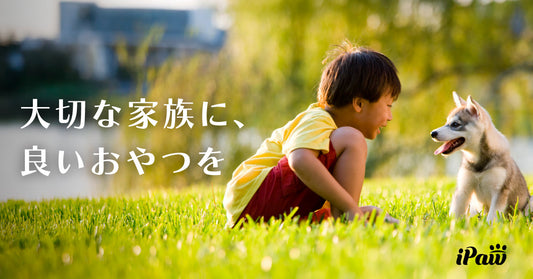 ホームページリニューアルのお知らせ