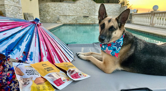 How to Choose the Right Dog Treats (Vet-Approved Tips You’ll Want to Know!)