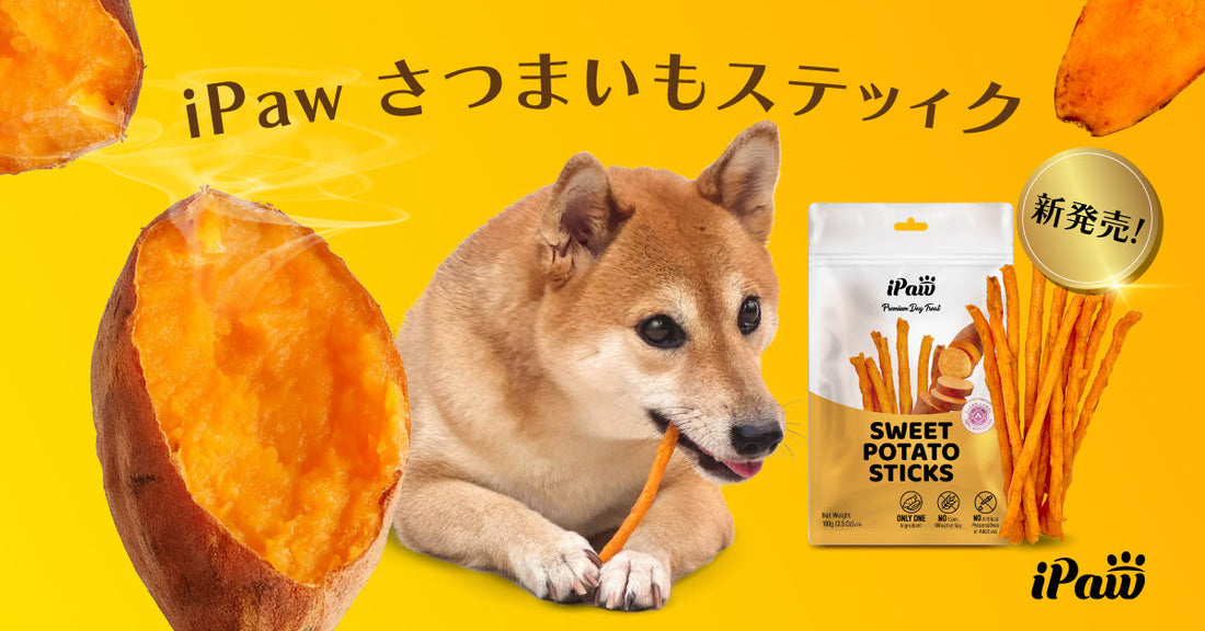 新商品の発売！さつまいもスティック