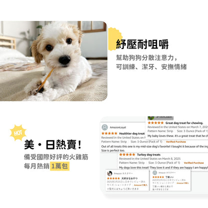 iPaw - ターキーアキレス
