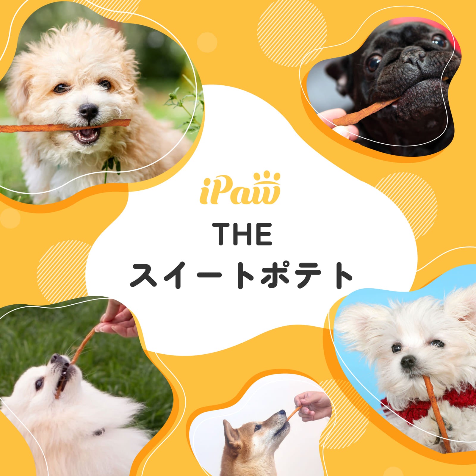 iPaw - THE スイートポテトスティックタイプ
