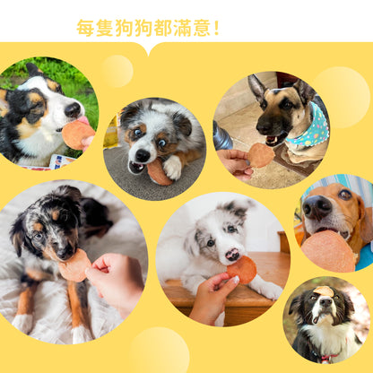 iPaw - チキンジャーキーチップス