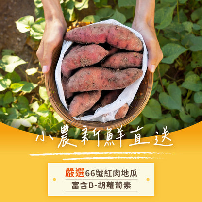 iPaw - THE スイートポテトスティックタイプ