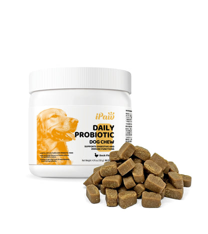 iPaw-Daily Probiotic Chews for Dogs