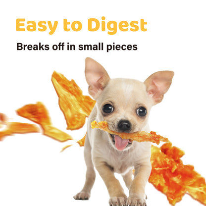 iPaw - Turkey Tendon for Dogs (Strip)