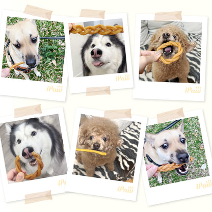 iPaw-Turkey Meat Thin Stick