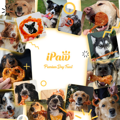 iPaw - Turkey Tendon for Dogs (Rope)