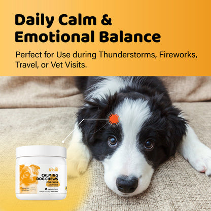 iPaw - Calming Chews for Dogs