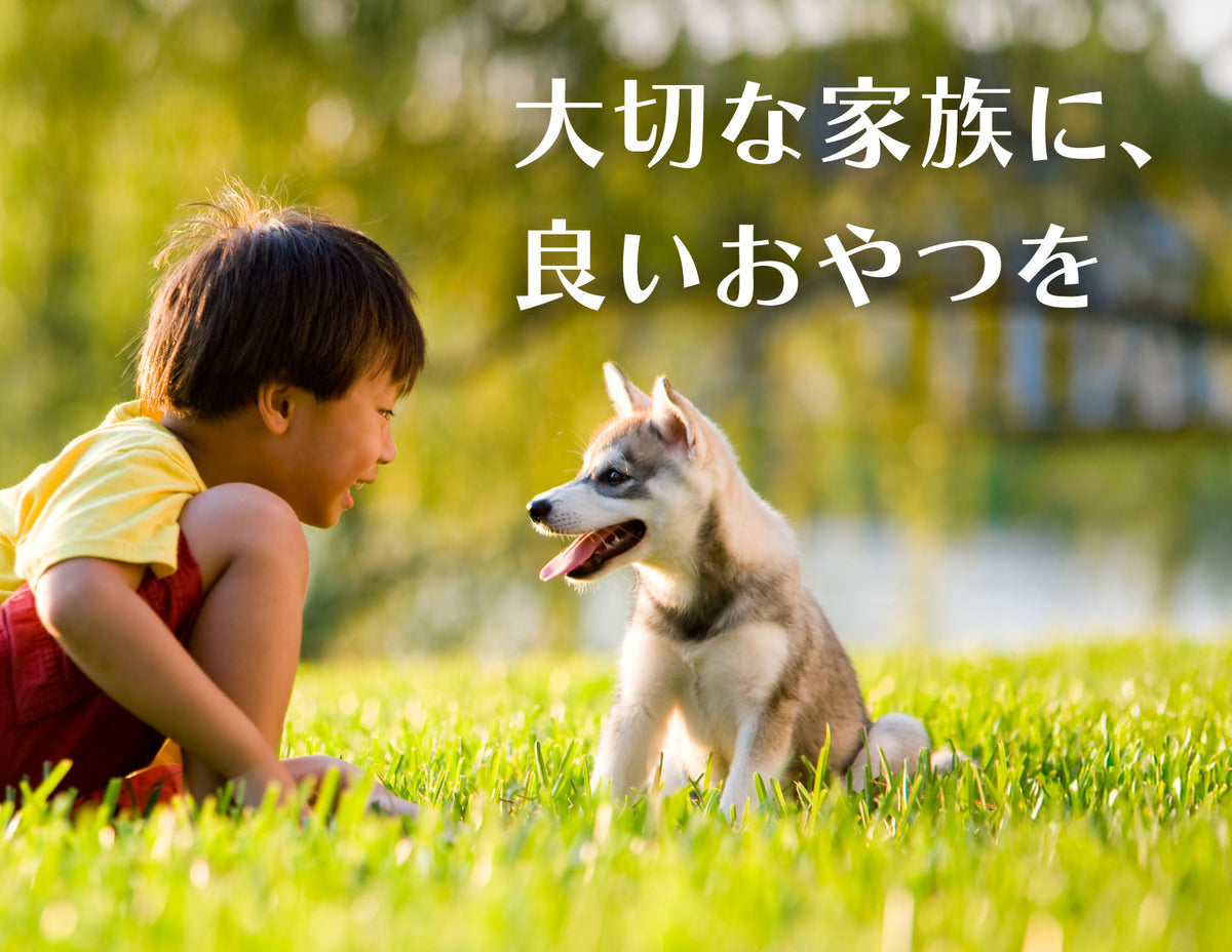iPaw アイポウ