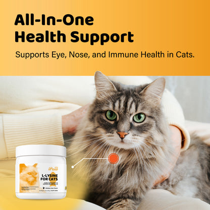 iPaw - L-Lysine Chews for Cats